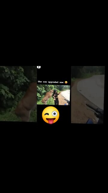 #trend #funny #viral #short #tiktokvideo