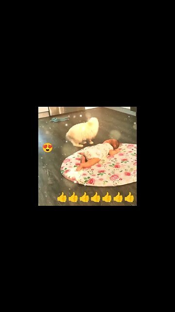 Miiaaaaoon with Kitten and a BABY