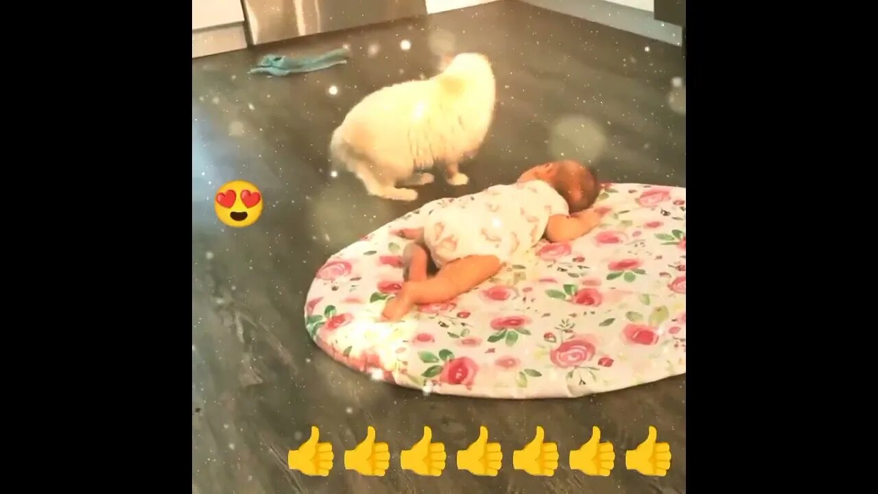 Miiaaaaoon with Kitten and a BABY