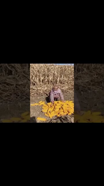 ٨ نوفمبر، ٢٠٢٢