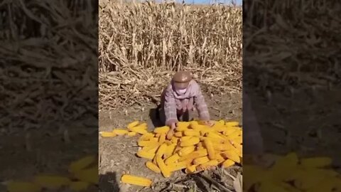 ٨ نوفمبر، ٢٠٢٢