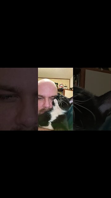 Kitty is a goober #shortsfeed #shortsvideo #kitty #cat #youtubeshorts #catlover #catlover #cutekitty