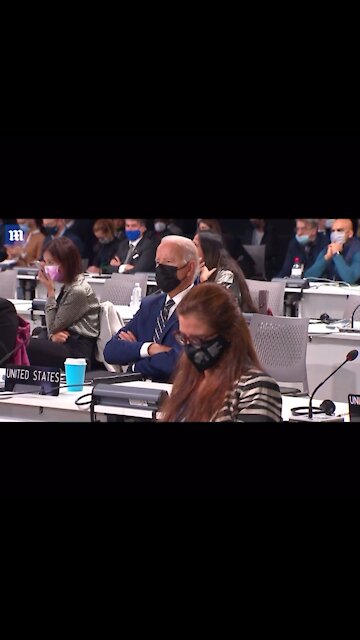 Little Guy Was Just Trying To Take A Nap