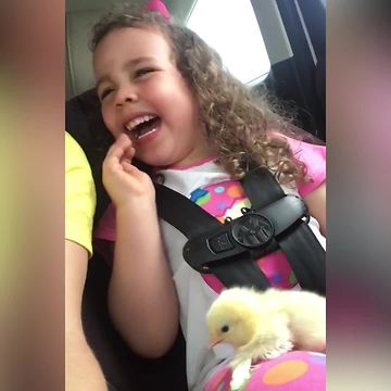 Little Girl Has Mixed Emotions About Meeting Baby Chicken