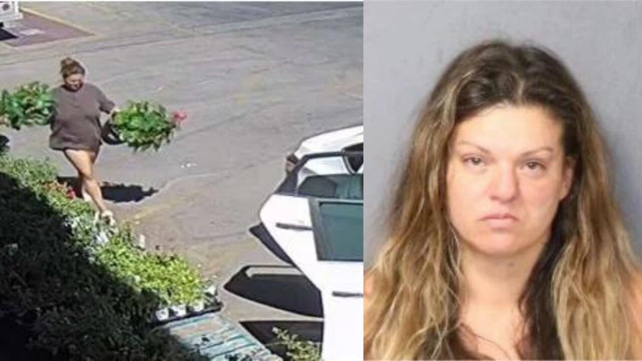 Woman Charged For Stealing Over $8K In Plants From Several Diff. Albertson's Stores Over 1.5 years