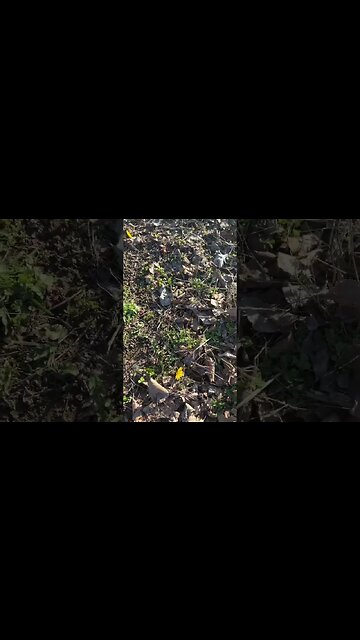 It’s finally started! #shorts