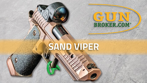 Taran Tactical Innovation’s Sand Viper Pistol | GunBroker #sandviper