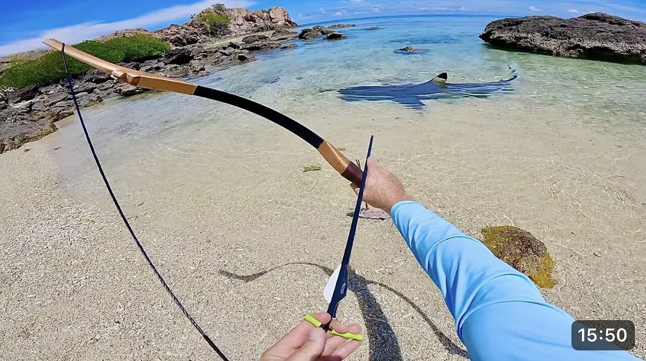 Bow Hunting For Food - Solo Survival Challenge