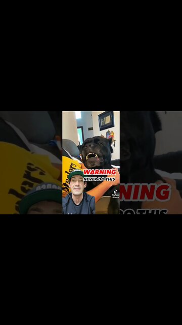 AGGRESSIVE Cane Corso Attacks Owner #shorts #canecorso #dogtraining #dog