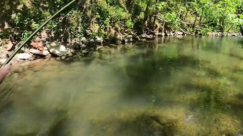 Catching GIANT Brown Trout in a Small Creek! -34