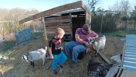Goats are HERE! First Look!