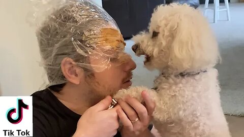 Trying TikTok Challenges w/ my Dog!
