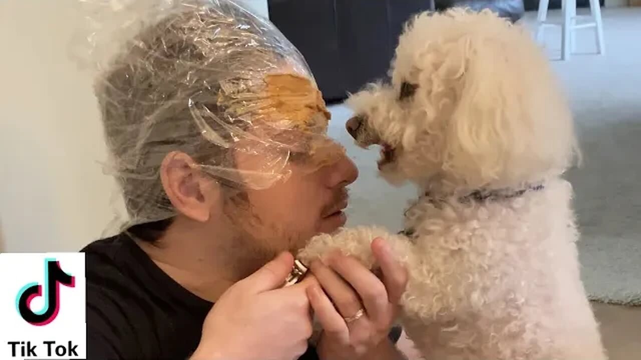 Trying TikTok Challenges w/ my Dog!