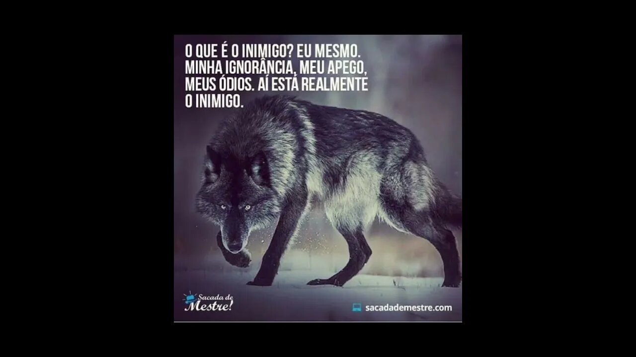 A parábola do lobo. #shorts