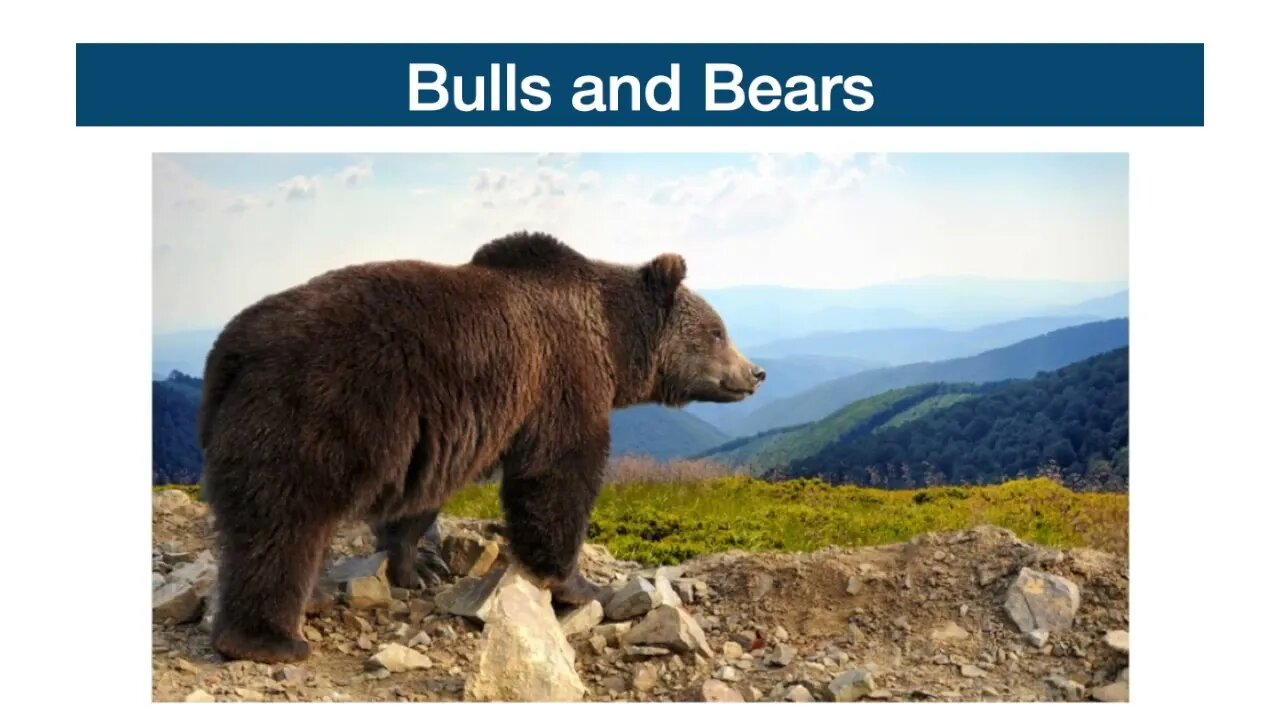 Bulls and Bears