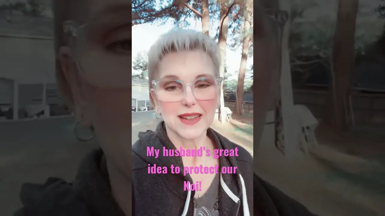 Koi fish during freeze…part 1.