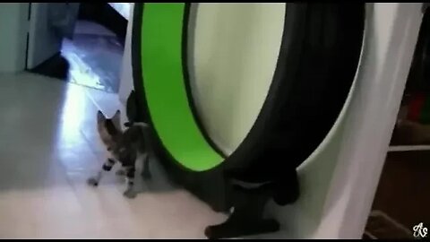 Exercise isn't always good for you