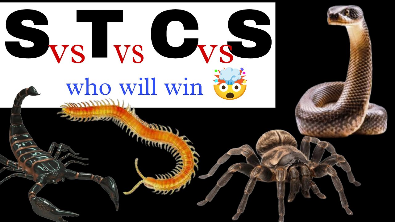 SCORPIO vs TARANTULA vs CENTIPEDE vs SNAKE 🤯🤯