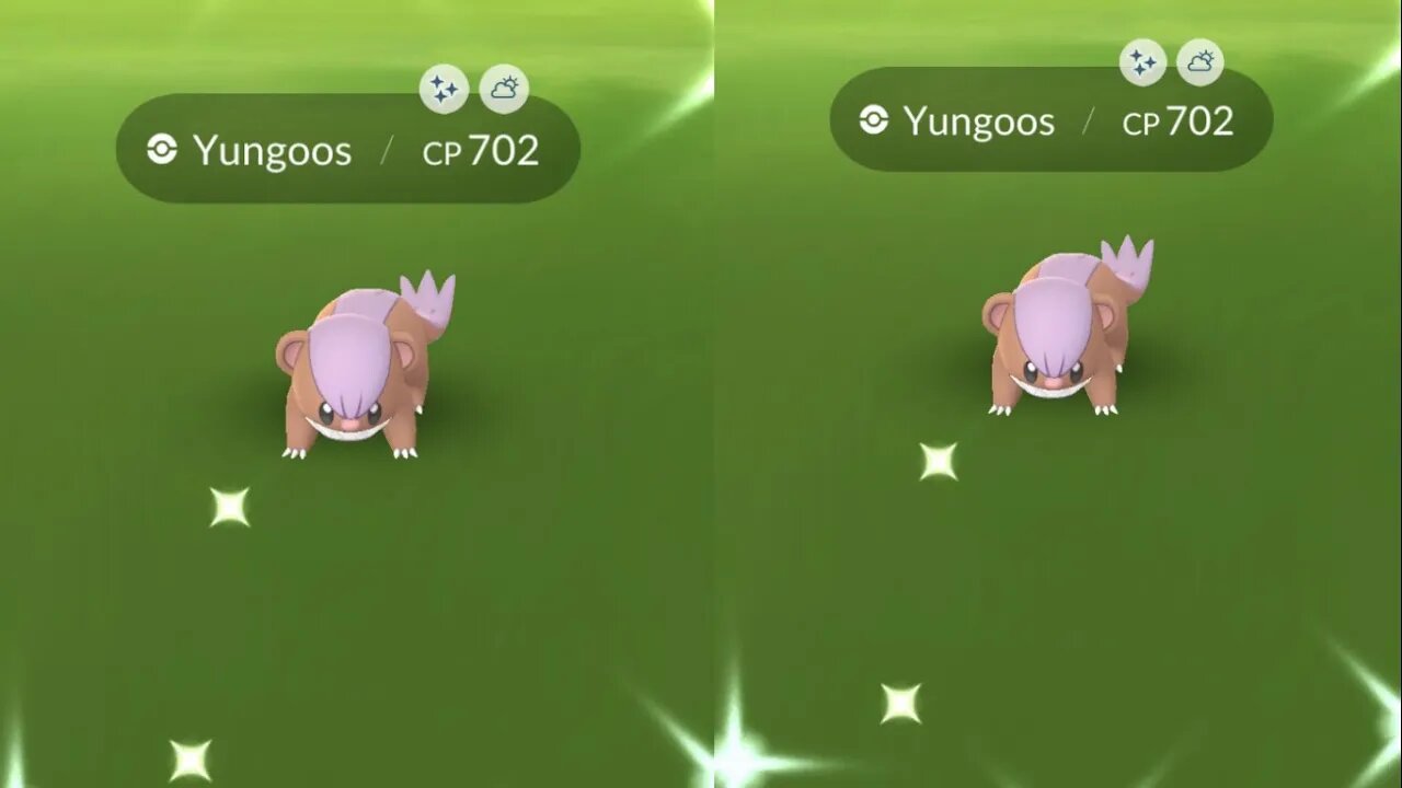 My Reaction to Shiny Yungoos