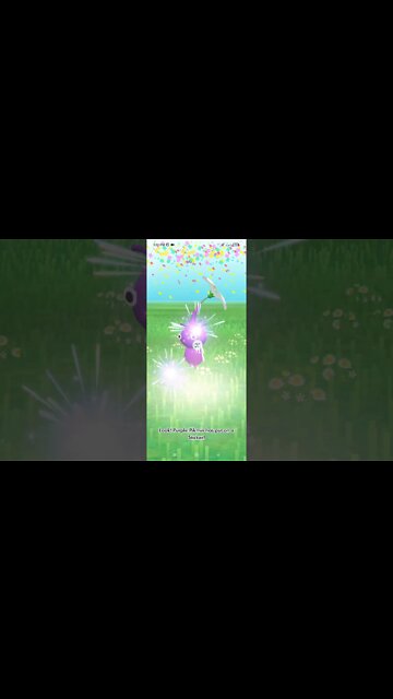 Pikmin Bloom-Purple Pikmin With Sticker