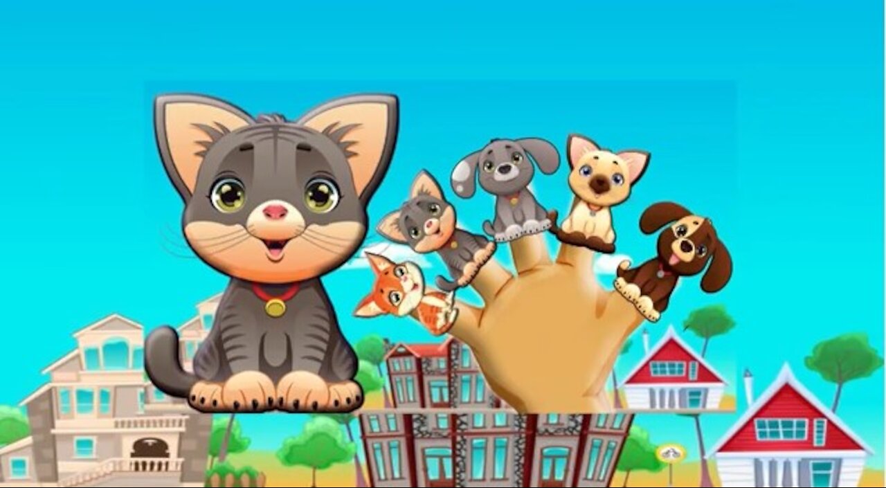 Cute Cat and Dogs Daddy Finger Family Song Cat and Dog Nursery Rhymes Cookie Tv Video