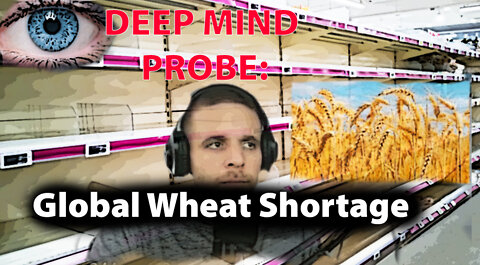 Global Wheat Shortage? Food Supply Shortage?|| Deep Mind Probe