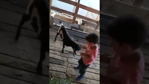 Menino de Roça Brincando #shorts