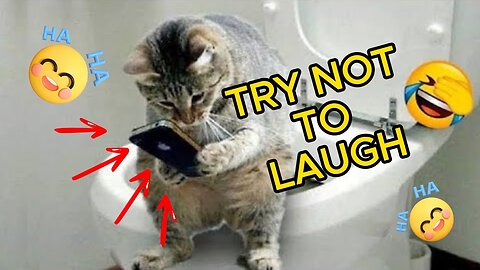IMPOSSIBLE TRY NOT TO LAUGH 😂 Funny Videos Compilation 😂 Funny Memes 2024