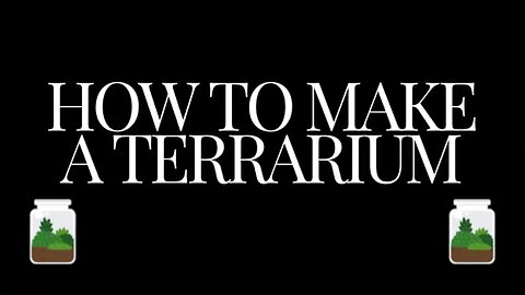 How to make a terrarium