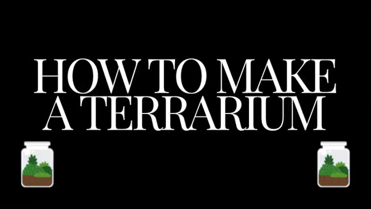 How to make a terrarium