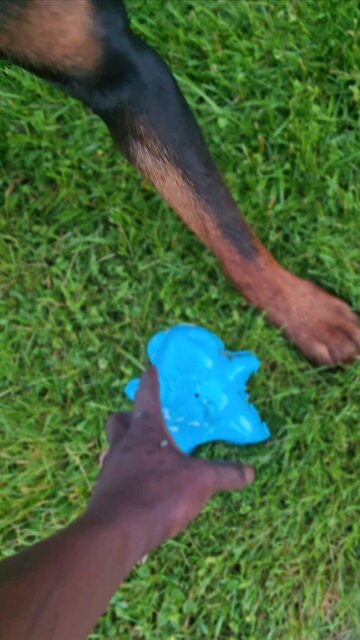 HE BACK AT IT AGAIN, BALL CHAMP 🏆