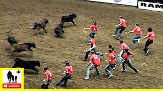 Calf Scramble 🐂 2022 San Angelo Rodeo | Saturday