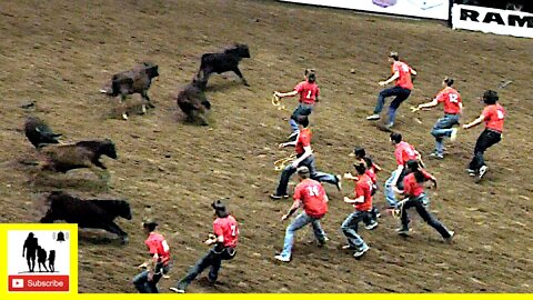 Calf Scramble 🐂 2022 San Angelo Rodeo | Saturday