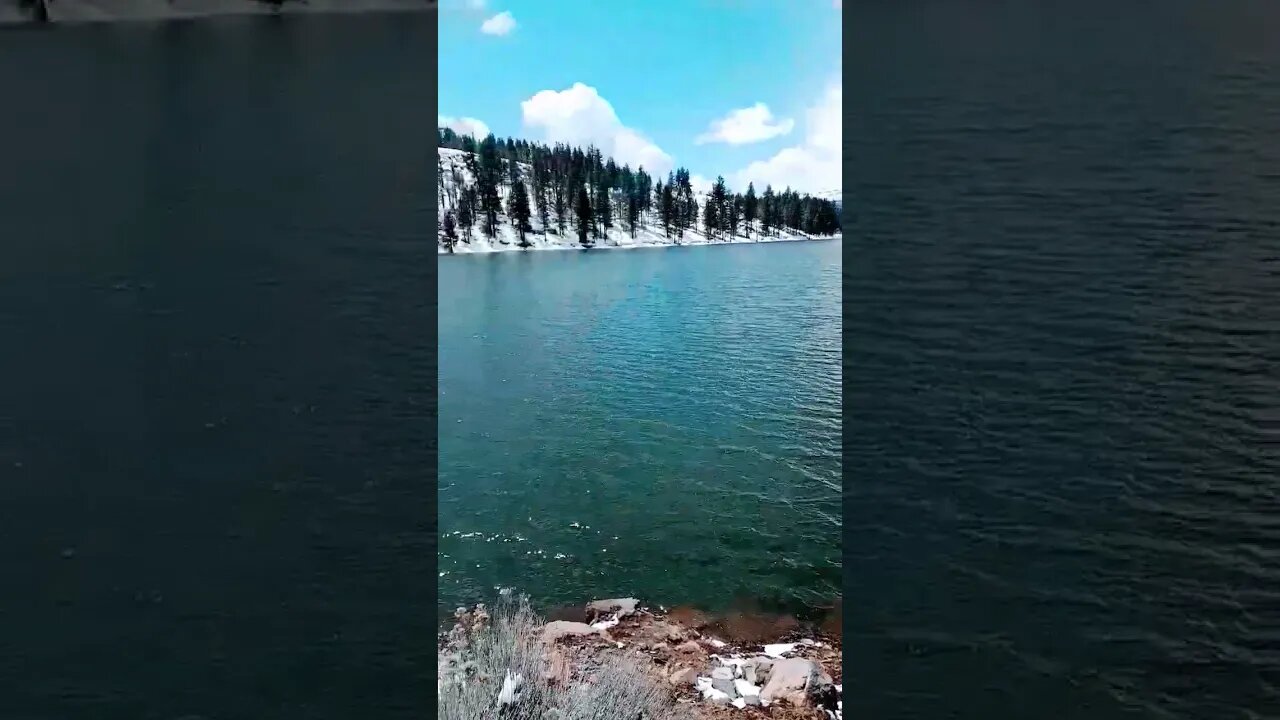 No Drought here! Snowmelt has filled the Lake. #shorts #short #lake #california #snow #drought