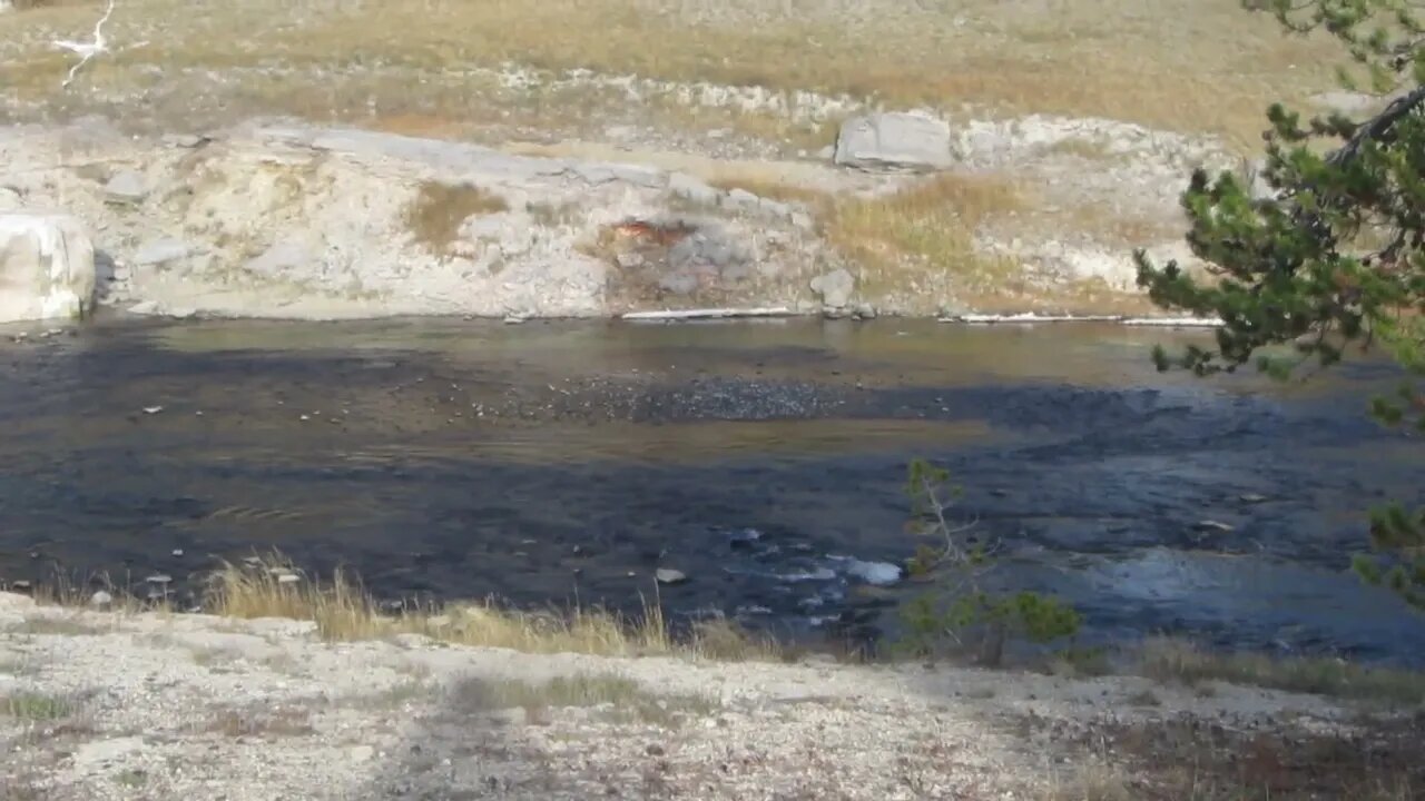 Riverside Geyser in Yellowstone