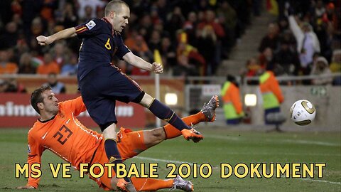 Mistrovství světa ve fotbale 2010 dokument