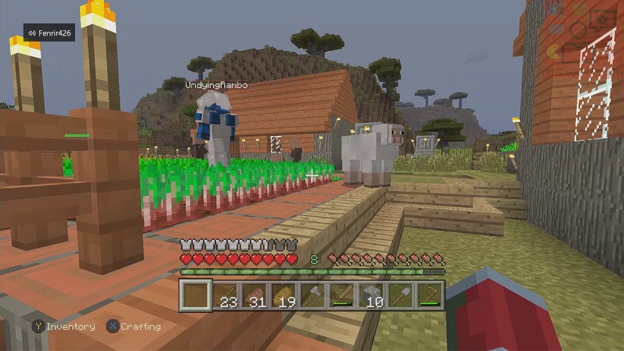 Friends First Minecraft Survival Experience