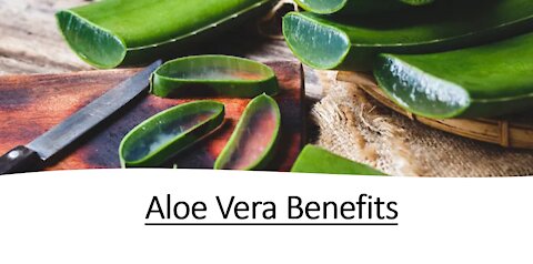 Aloe Vera - Benefits