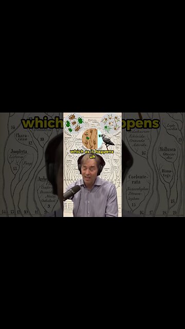 Stephen Meyer on Evolution: Microevolution, Common Descent, and New Theories | Joe Rogan #JRE #2008