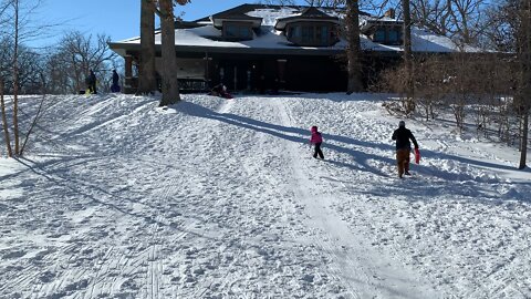 Snowsledding