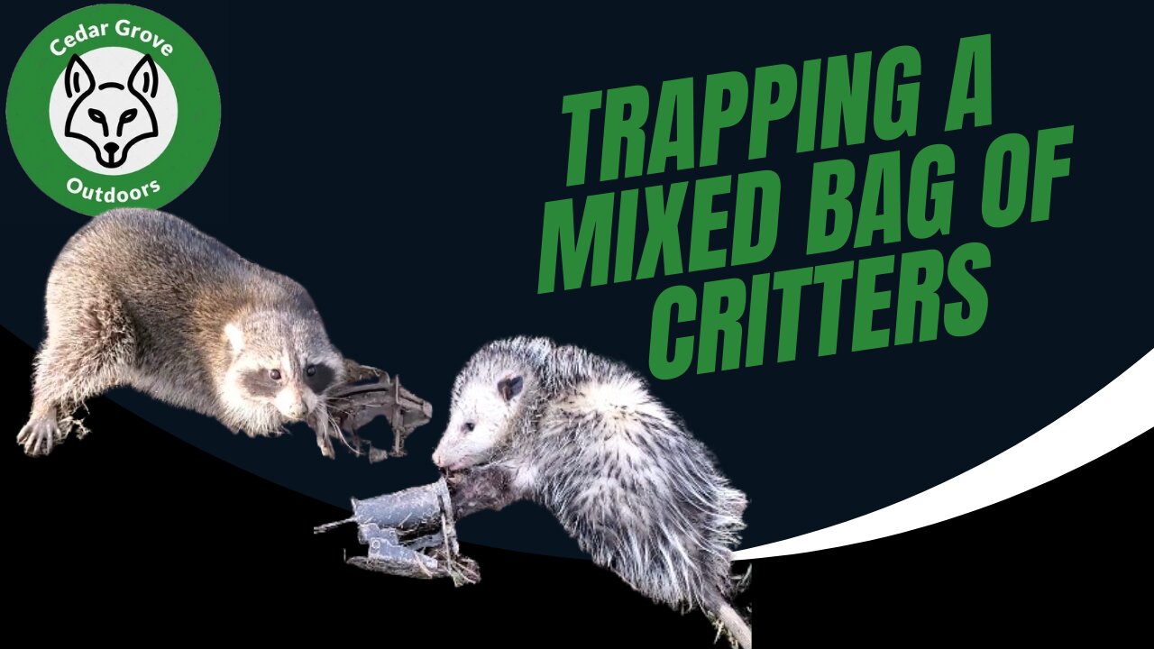 S.2 E.12 Trapping a Mixed Bag of Critters