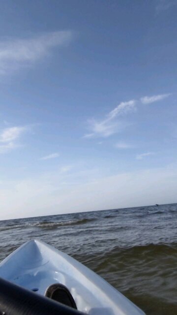 Bunche Beach Kayaking pt.2