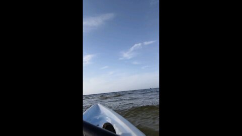 Bunche Beach Kayaking pt.2