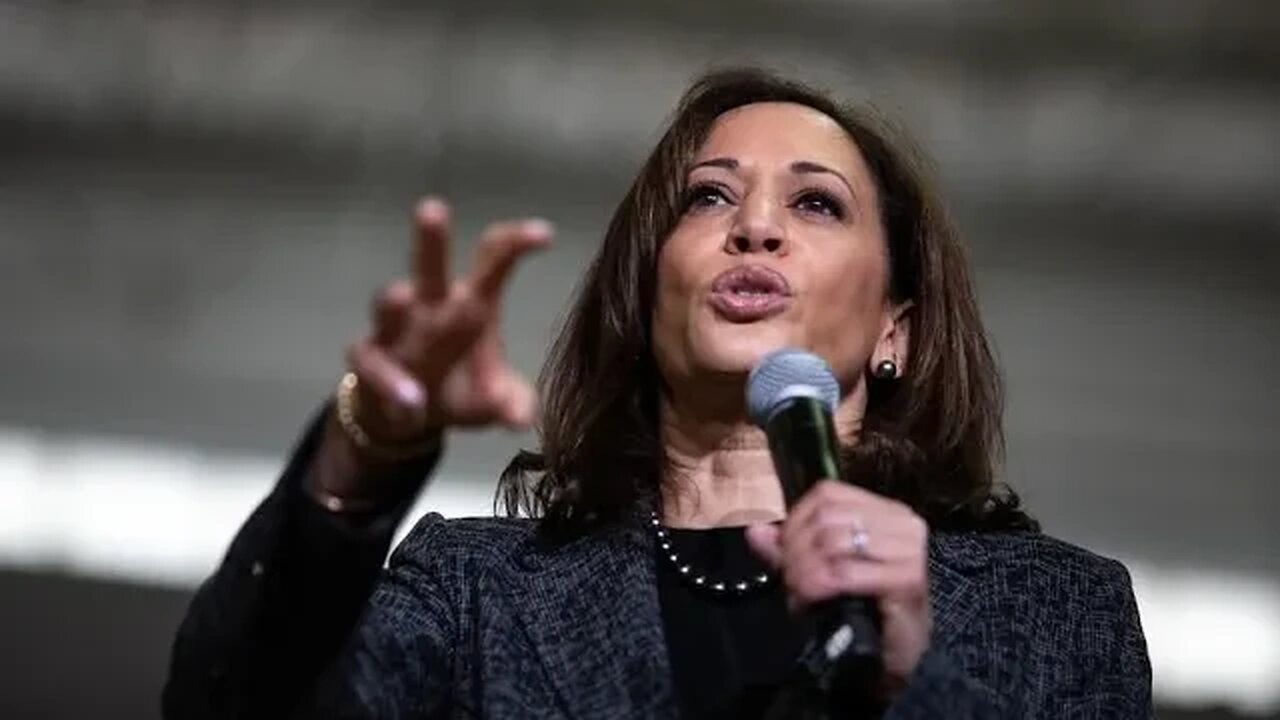 Kamala Harris Says Joe Biden Is An Extraordinary Leader... And Also Doesn't Know What The VP Does