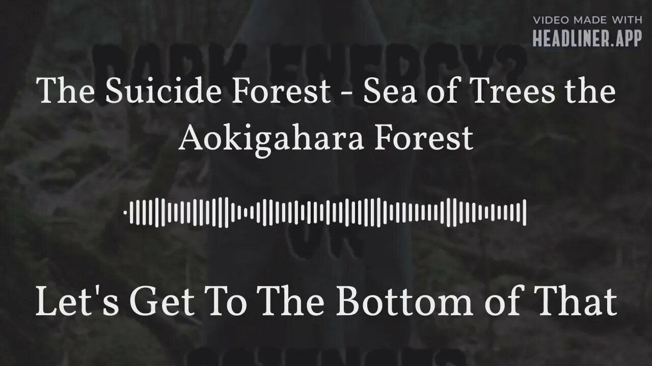 The Suicide Forest | Dark Energy or Something Else?