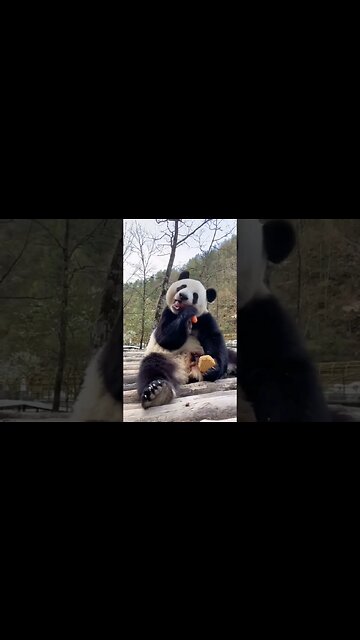 Healthy breakfast 🥕🐼