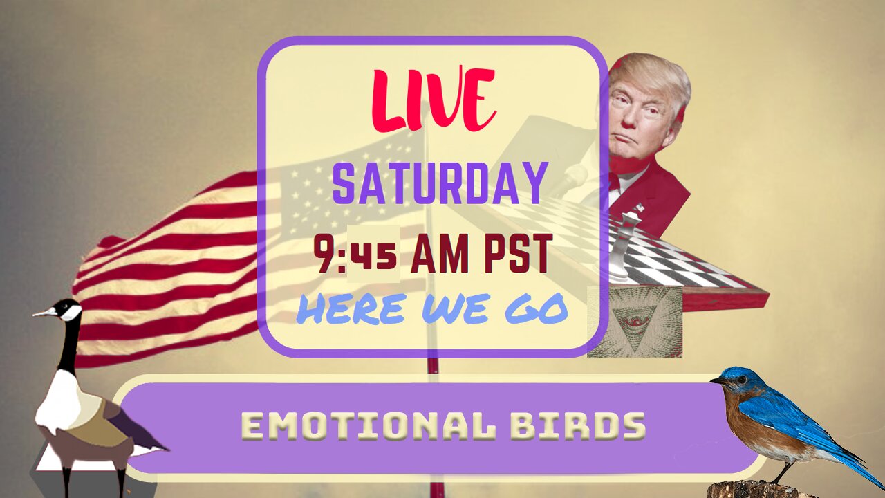 Saturday *LIVE* Emotional Birds Edition