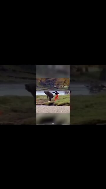 Man VS.Bear 🤯 #shorts #bear #wildlife #fight #man #forest #comedy #comedia #attack #wilderness #yt