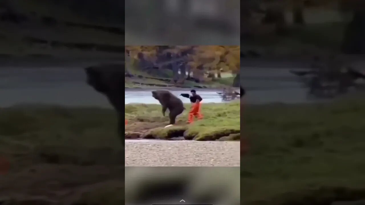 Man VS.Bear 🤯 #shorts #bear #wildlife #fight #man #forest #comedy #comedia #attack #wilderness #yt