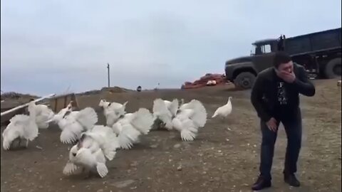 Ukrainian nationalist rallies the flock